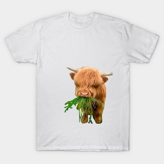 vaquita T-Shirt by uchix